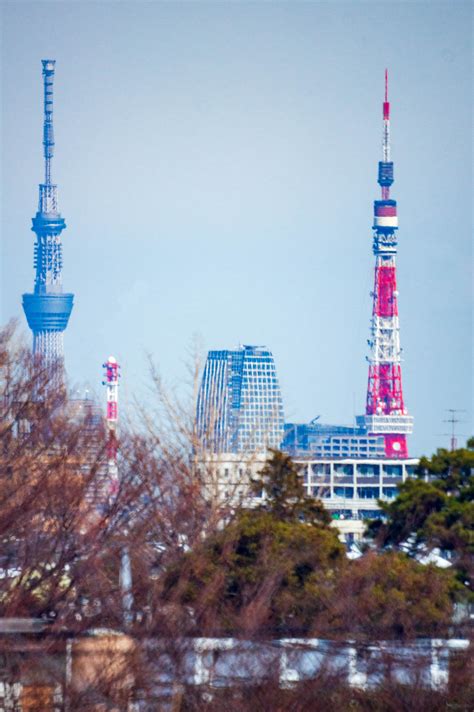 東京タワー 高さ 同じ